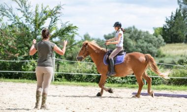 Conseils d’accessoires pour débuter en équitation